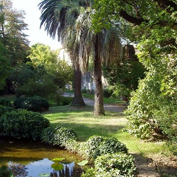 Micellar Water Collection | SUNDAY II SUNDAY