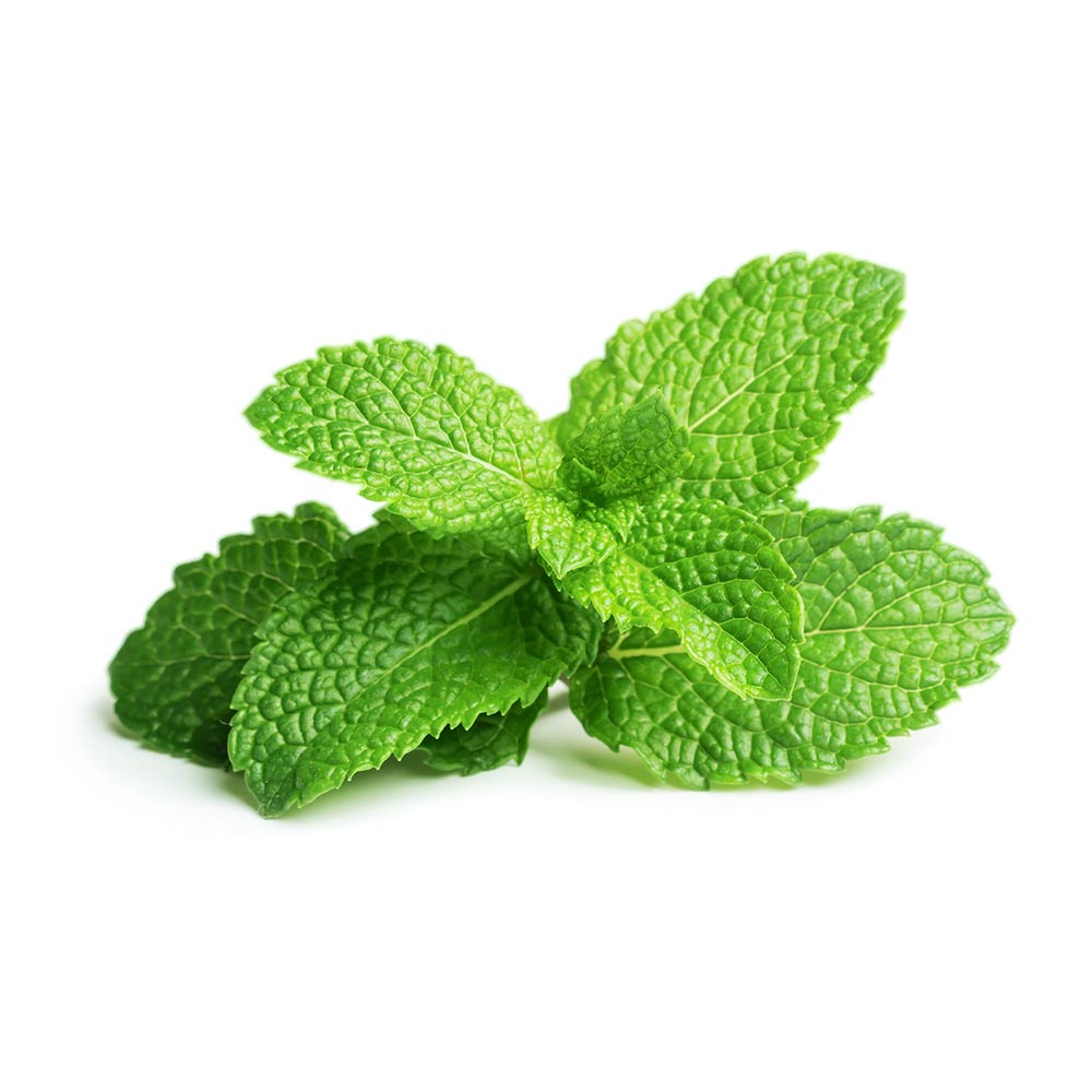 PEPPERMINT OIL AND EXTRACT | SUNDAY II SUNDAY