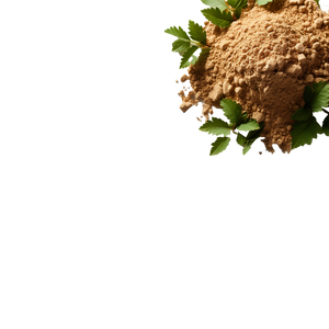 Bran Extract