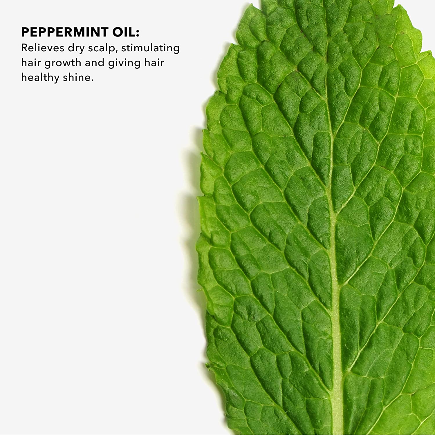 Peppermint Essential Oil - SUNDAY II SUNDAY