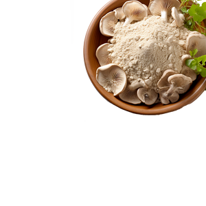Mushroom Extract